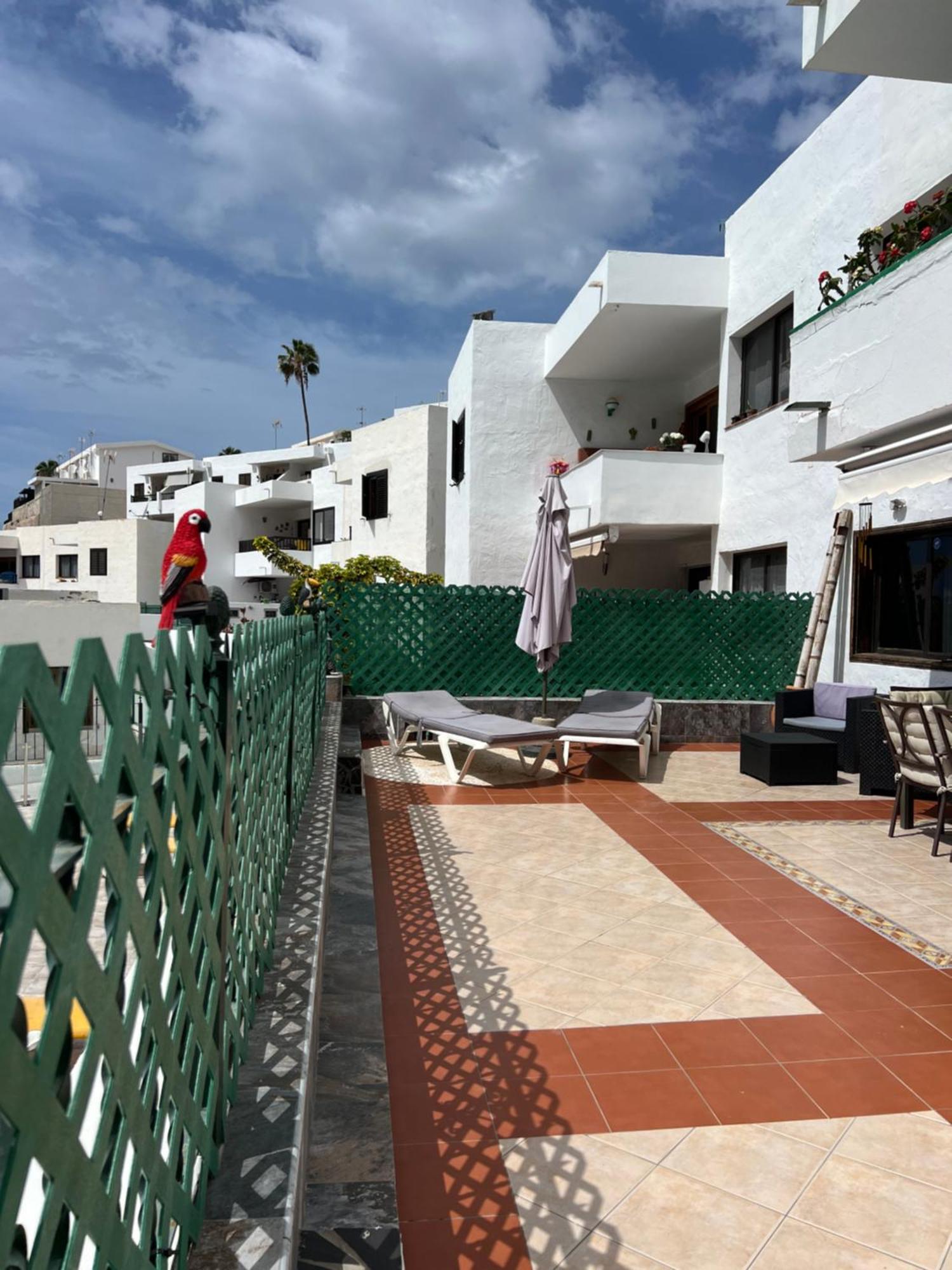 Lovely Apartment 2 Rooms With Big Terrace In Puerto Rico Puerto Rico  Esterno foto